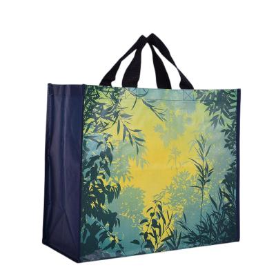 China Eco - Friendly Reusable Customized Packaging And Logo Printing Polypropylene PP Woven Shopping Bag for sale