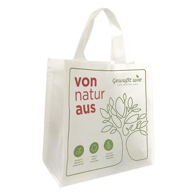 China 100% Logo 100% Plastic Custom Biodegradable Non Woven Fabric Shopping Bag for sale