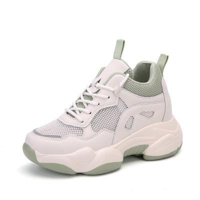 China Height Increasing High Quality Height Increasing Sneakers Ladies Running Shoes Custom Made For Women New Styles for sale