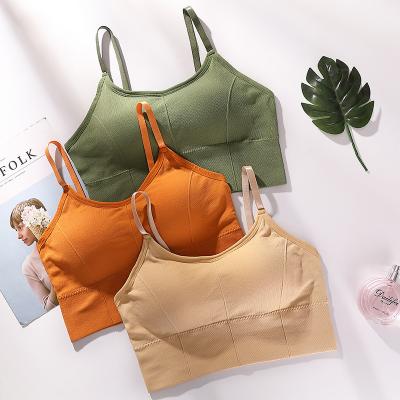 China High quality QUICK DRY cotton sports bra elegant seamless sexy ladies push up women's bra for sale