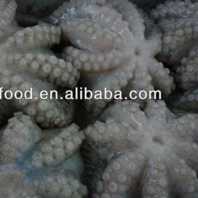 China flower type blocked whole frozen octopus for sale Z10421267 for sale