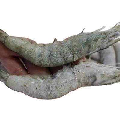 China Selling Good Quality FROZEN Whole Cheap Price Frozen Indonesia Vannamei White Shrimp for sale