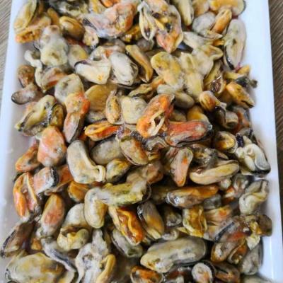 China FROZEN blue mussel/indonesia mussel frozen meat for sale