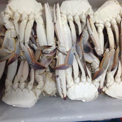 China FROZEN Frozen Crab Butterfly Cutting Good Sale for sale