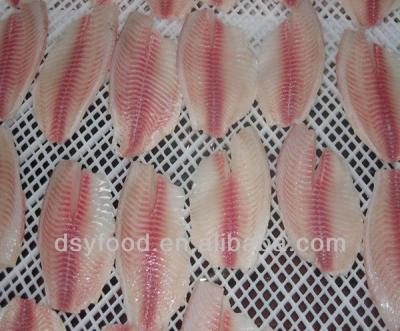 China TILAPIA FROZEN IQF IVP FROZEN FILLET for sale