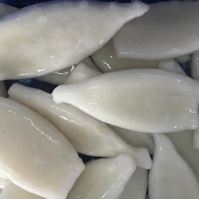 China Good Selling Gluten Free Frozen Squid Tube / Ring for sale