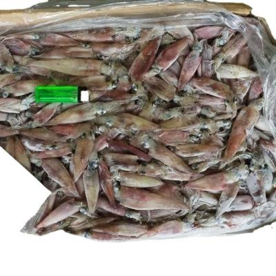 China Good Sale Gluten Free Frozen Needle Squid for sale