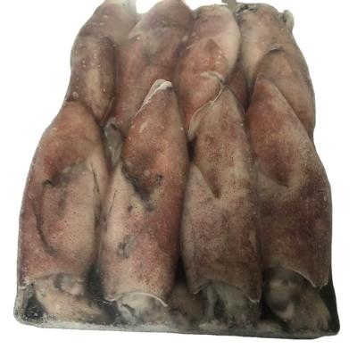 China Good Sale Gluten Free Frozen Red Squid for sale