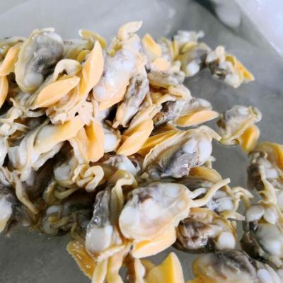 China Good Selling Frozen Petroleum JELLY Clam Meat from Indonesia for sale