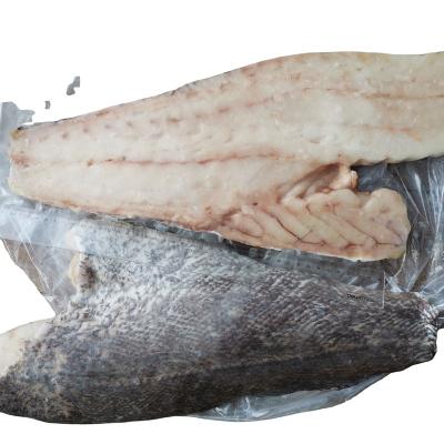 China Good Selling FROZEN Whole Round Grouper/Frozen Fillet for sale