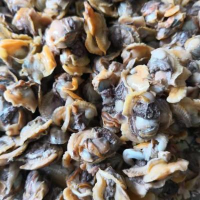 China FROZEN Mao Clam /Blood Clam Meat Good Sale from Indonesia for sale