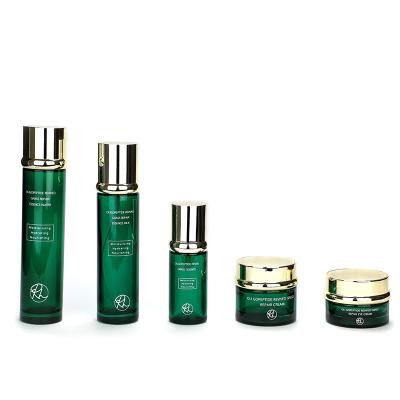 China High Grade Cosmetic Packaging Glass Bottle Set Bottle Green Serum Bottle With Face Cream Jar for sale