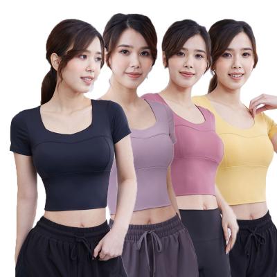 China Women's Fitness Women's Gym Bra Sportswear Sportswear Yoga Wear Bra Thin Sexy Seamless Breathable Popular Fit Bra Quick Dry for sale