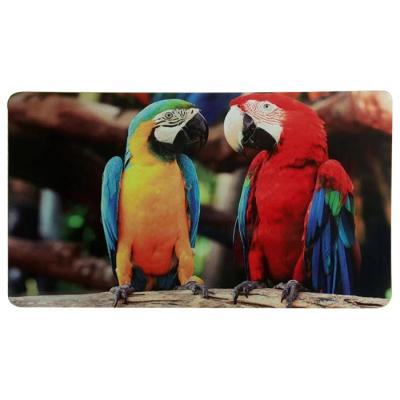 China Best Selling Printing Natural Rubber Indoor Pet Mat Environmental Friendly Mat Custom Adhesive-protective Pet for sale