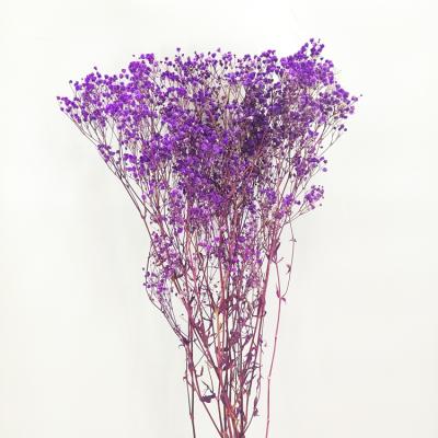 China Long Lasting Natural Dry Flower Gypsophila Flower Babysbreath Decorative Grass For Wedding Decoration for sale