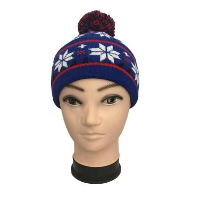 China Wholesale OEM custom JOINT logo winter jacquard design slapped acrylic knit beanie hats with pom for sale