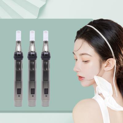 China Microneedle Mesotherapy High Quality Nano Needles Skin Rejuvenation Manufacturing Electric Derma Pen 0.25mm for sale