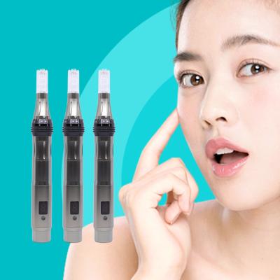 China Skin Rejuvenation Best Price Professional Beauty Injection Nano Microneedling Derma Pen Electric Teasing for sale