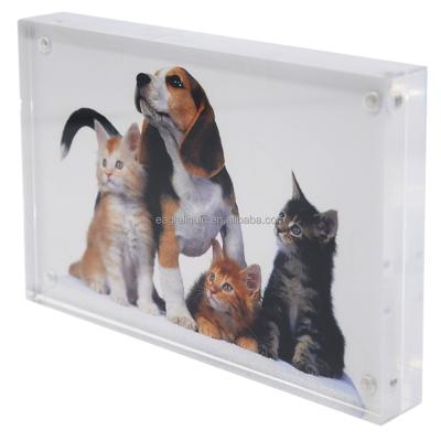 China Wholesale magnetic family pet magnetic cheap promotion picture frame MDF college clear picture frame for sale