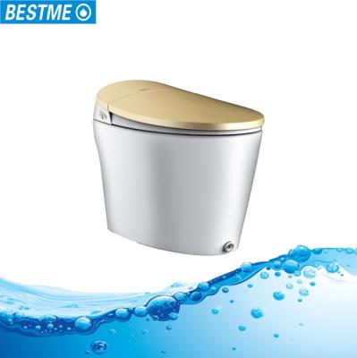 China BESTME Modern Double-Flow Smart Toilet Intelligent Floor Standing Toilet With Bidet for sale