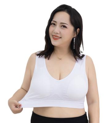 China Women's Plus Size Fascia Fitness Yoga Sports Bra Seamless Padded Quick Dry Bra Top Breathable Active Wear Tank Top Bra for sale