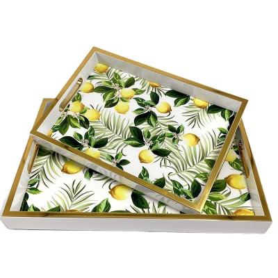 China Viable Wholesale Home Decoration Modern Simple Tray Tanning Storage Serving Tray Decoration for sale