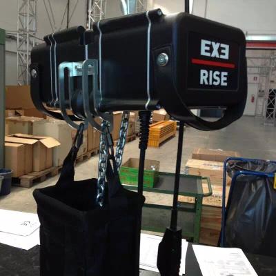 China Construction Exe Rise Motor Chain Hoist With D8 + 160kg Loading Capacity for sale