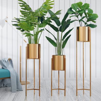 China NEW SALE Gold Style Cast Iron Gold Nordic Indoor Garden Tall Plant Stand Plant Stand DEEPBANG Amazone Large Plant Stand Modern Metal for sale