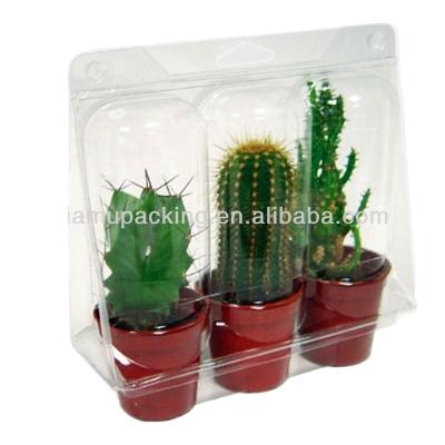 China Beautiful recyclable blister packaging for cactus for sale