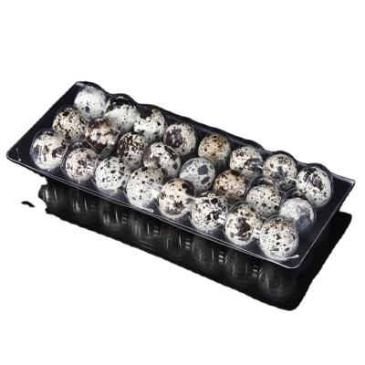 China Clamshell Quail Egg Container Cheap Export Manufacturer for sale