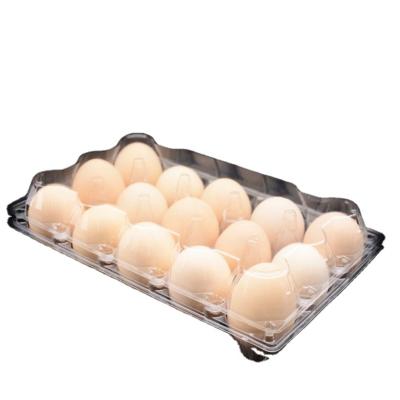 China Disposable plastic packaging for chicken eggs, egg trays for sale for sale