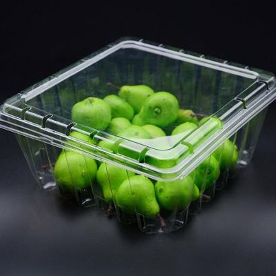 China Recyclable Disposable Clear Clamshell Box, Wholesale Plastic Fruit Container, PET Clamshell For Fruit With Air Hole for sale