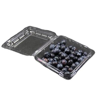 China Durable And Beautiful Plastic Blueberry Clamshell Cans / Box For Packaging 150g for sale