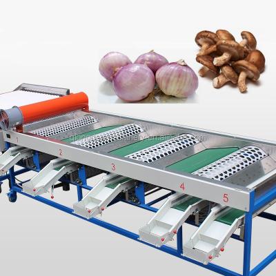 China Snack Factory Fruit and Vegetable Sorter Garlic Sorter Red Dates Grading Machine for sale