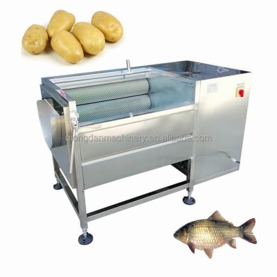 China Snacks Factory Green Potato Washing Machine Fruit Cleaning Machine Vegetable And Fish Scales Cleaning Machine for sale