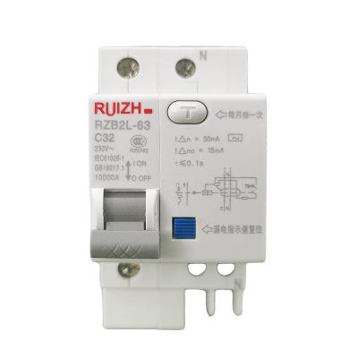 China RCB Circuit Breaker Air Switch C 1P 2P 3P 4P High Score Broken Household RZB2L-63-C16A RZB2L-63C-1P for sale