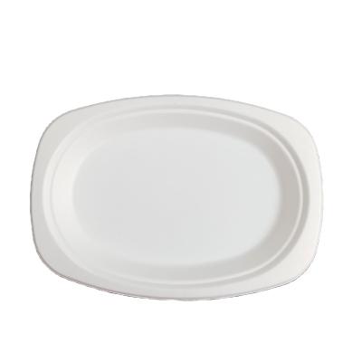 China Square 9*6Inch Disposable Biodegradable Eco-Friendly Disposable Edge Sugarcane Bagasse Tableware Oval White Dinner Dishes For Wedding for sale