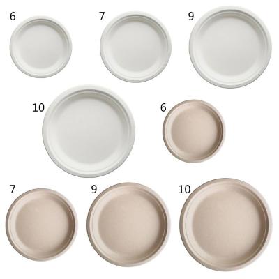 China 100%biodegradable Disposable Tableware Disposable Bagasse Disposable Dishes for sale