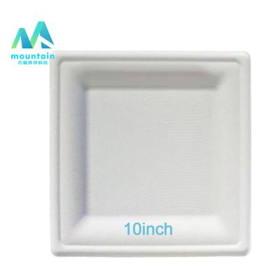 China Biodegradable Compostable Cheap Container Sugar Cane Bagasse Square Disposable Gridded Dishes Food Packaging for sale