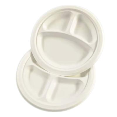 China Wholesale Disposable Bagasse Disposable Environmental Friendly Tableware for sale