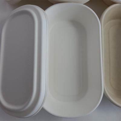 China Biodegradable Compostables Within 90 Days Factory Wholesale Biodegradable Microwave Take Out Food Box To Go Containers Sugarcane Bagasse Lunch Box With Lid for sale