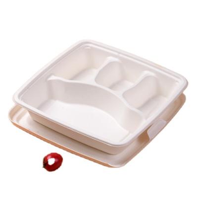 China Eco Natural Material 9 Inch 4 Compartment Sugar Cane Bagasse Paper Pulp Disposable Fast Food Food Container Tray With Clear Lid Biodegradable White for sale