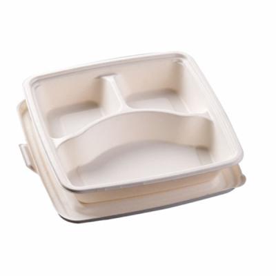 China Natural Material 3 Inch 9 Compartment Disposable Compostable Biodegradable Sugar Cane Sugarcane Bagasse Food Tray With Lid Takeway Container for sale