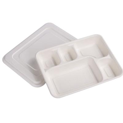 China Hot Selling Disposable Disposable Sugarcane Bagasse Dishes Biodegradable White Rectangle 5 Compartment Deep Pulp Take Out Food Tray for sale