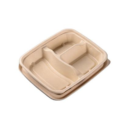 China Natural Material Custom 3 Compartment Sugar Cane Bagasse Paper Pulp Disposable Fast Food Container White School Compostable Tray With Lid for sale