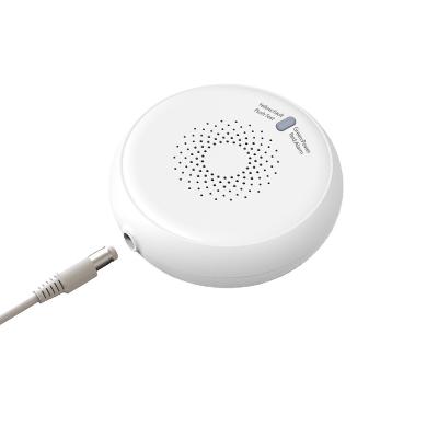 China High Quality Smart Fie Smoke Carbon Monoxide Alarm Home Security 360 Degree Gas Sensor Alarm Mini Wireless WiFi Tuya Gas Alarm Sale for sale