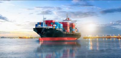 China Door To Door FBA Sea Freight Forwarder Shipping Agent Ddp From China To Usa United Canada Europe/Middle East State for sale