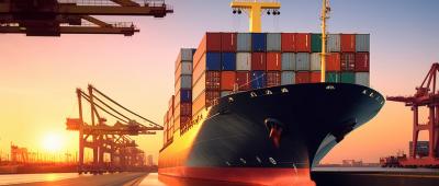 China The Cheapest Freight Forwarding Company Sea Shipping from China to USA UK Canada Europe FBA Freight Agents for sale