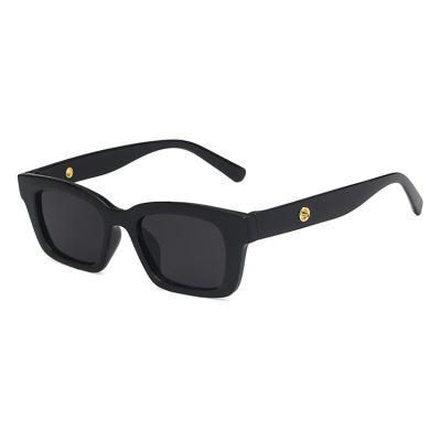 China Fashion Glass Sunglasses BJ5243 PC Black Frame Italy Vintage Rectangle Small Sunglasses for sale