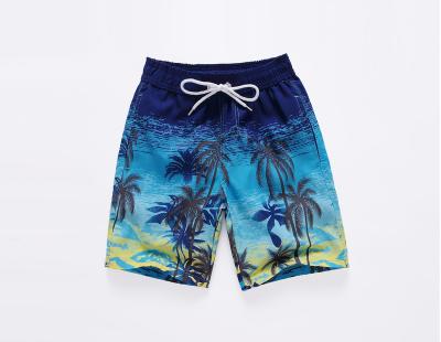 China Solid Plus Size Plus Compression Bodyshape Polyester Elastane Swim Beach Shorts Swimwear Manufacturers For Men for sale